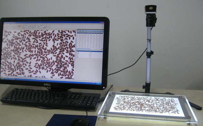 SC-G���Ԅ�(d��ng)�N�әz�y(c��)���N-�������-�x��Ӌ(j��)��(sh��)�x