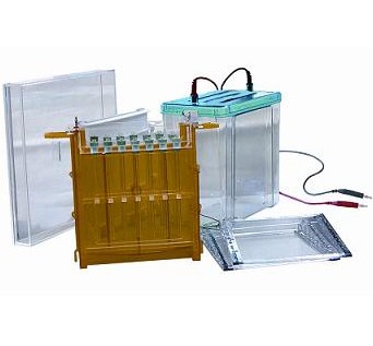 �p���Ӿ��DYCZ-26B��