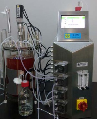 ������̈́��：�����B(y��ng)���ﷴ����