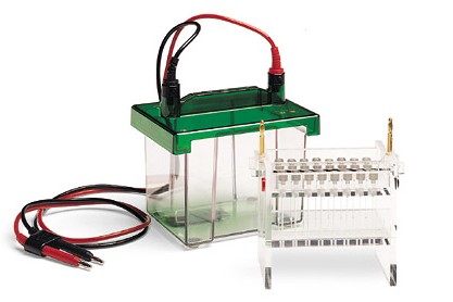 ����(l��)Mini-PROTEAN 2-D�Ӿ��