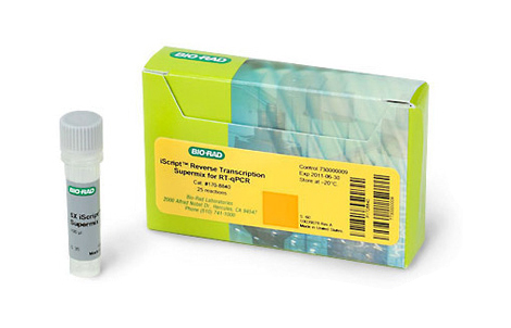 ���� RT-qPCR �� iScript™ ���D䛳����Һ