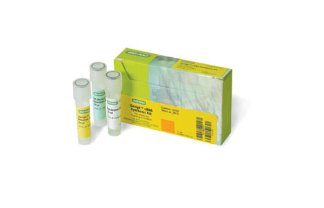 iScript™ cDNA �ϳ�ԇ����