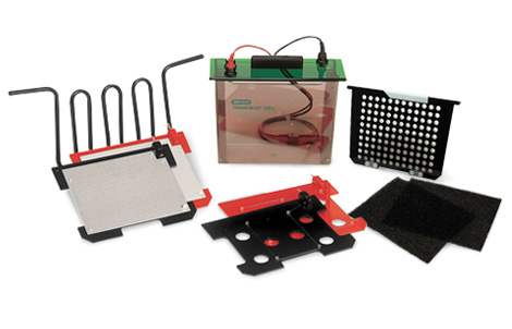 Trans-Blot&reg; �Dӡ��