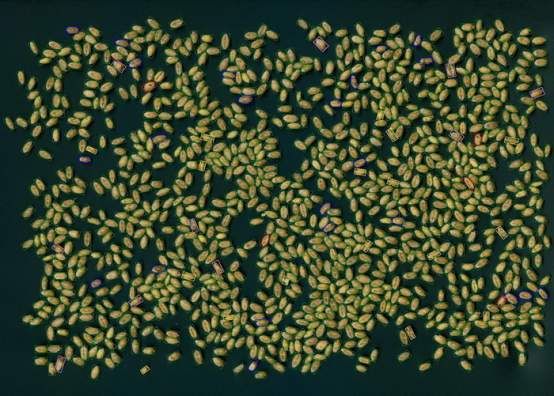 С�����^Ʒ�|(zh��)������������Ǚz�y(c��)�xSC-X��