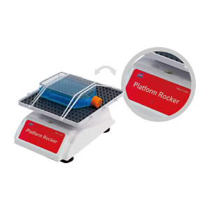 �[��С��NS-04��NS-05U